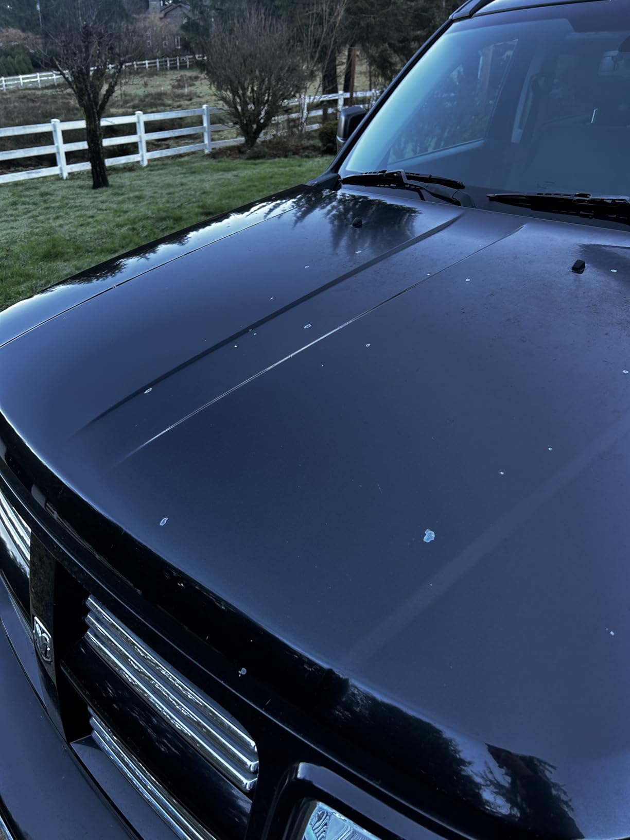 Stoner Car Care 91154 Tarminator Tar, Sap, and Asphalt Remover - Fast Acting Tar and Sap Remover for Cars - Clear Coat Safe Auto Cleaner for Paint, Chrome and Wheels - 10 oz customer photo 2