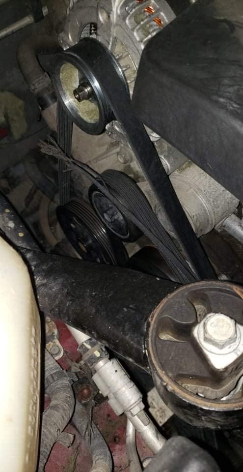 Dayco 5060915 Serpentine Belt, Black customer photo 2