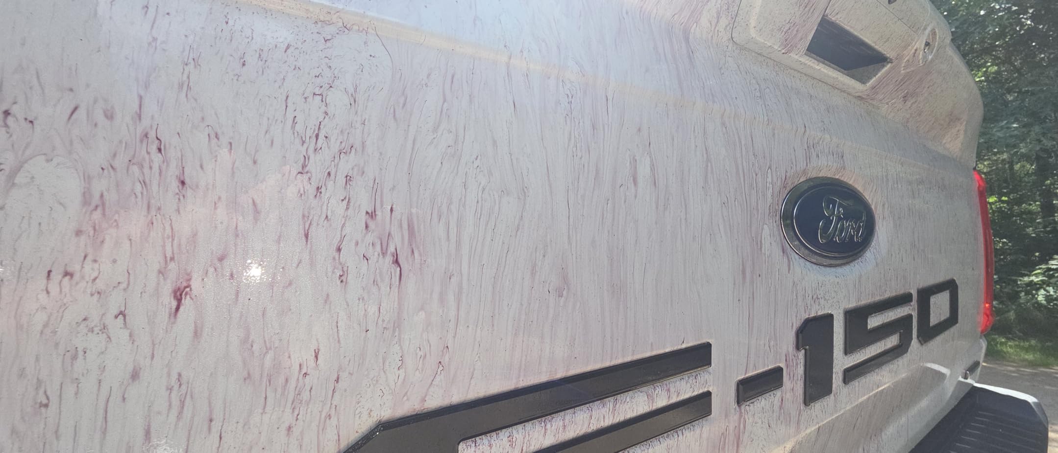 CARPRO IronX Iron Remover: Stops Rust Spots and Pre-Mature Failure of the Clear Coat, Iron Contaminant Removal - 500mL with Sprayer (17oz) customer photo 1