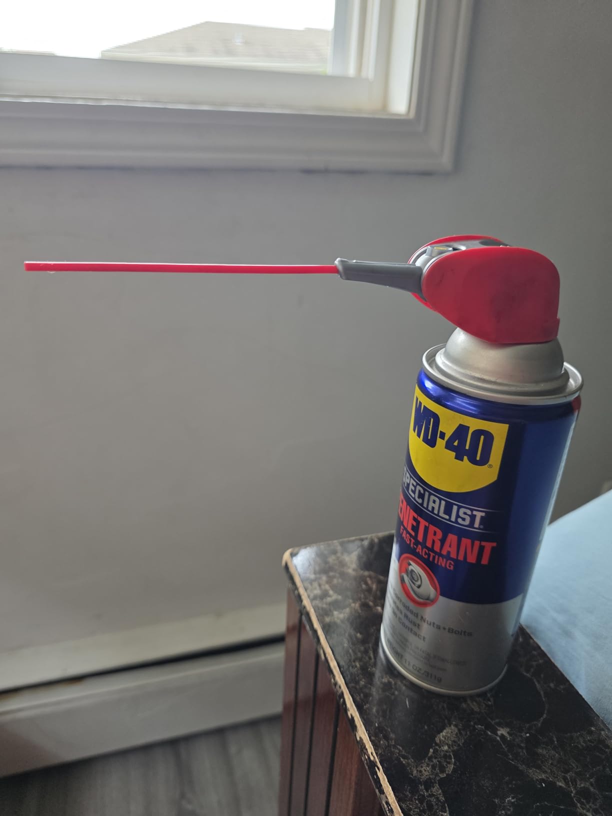 WD-40 Specialist Penetrant, Smart Straw, Fast-Acting, 11 OZ [1-Pack] customer photo 1
