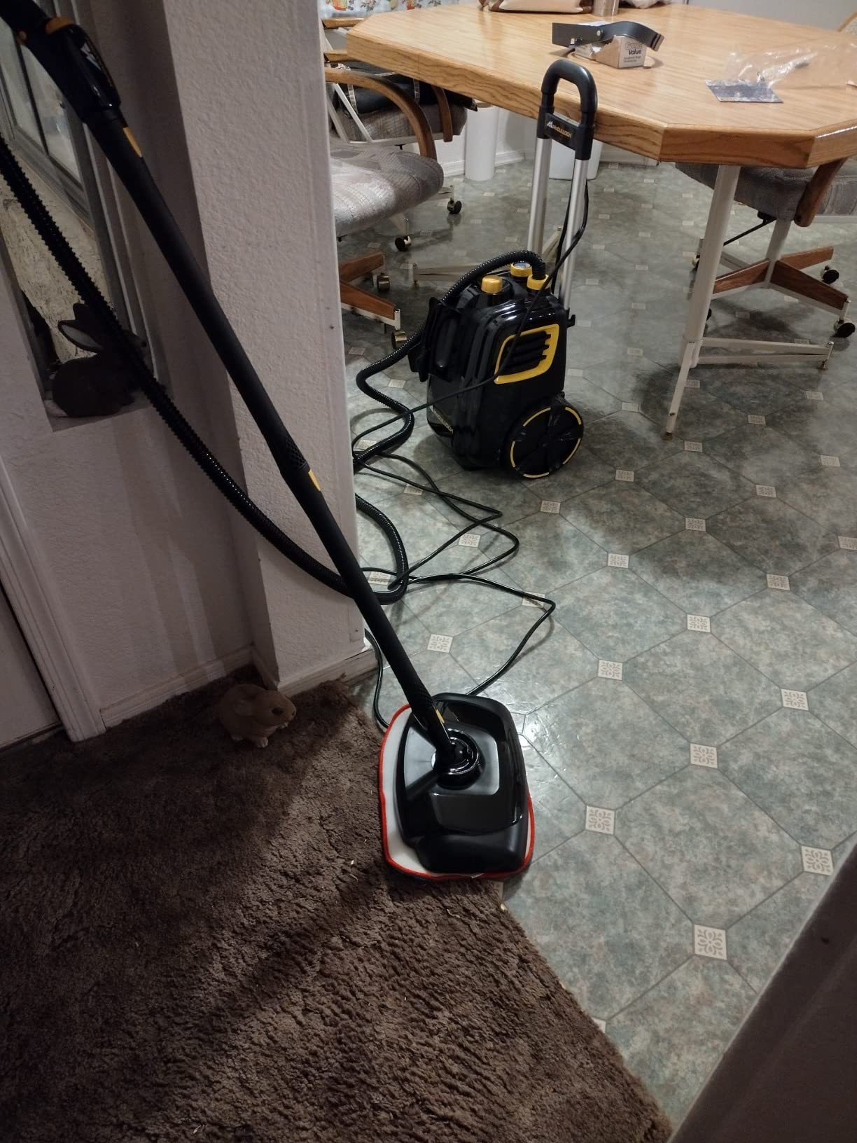 McCulloch MC1385 Canister Steam Cleaner, For Grout and Tile, 23 Accessories | Mop Head, Brushes & More - Built for Home, Tile, Carpet, Furniture, & Personal Car Detailing customer photo 2