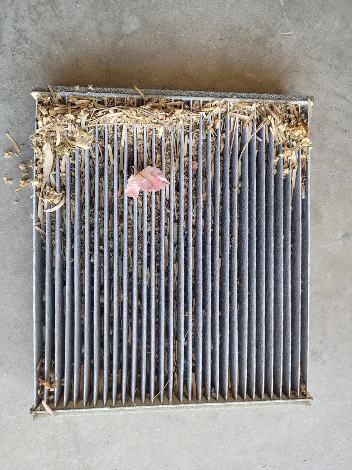 BOSCH 6055C HEPA Cabin Air Filter - 3 Layer Protection For A Healthier Ride customer photo 2