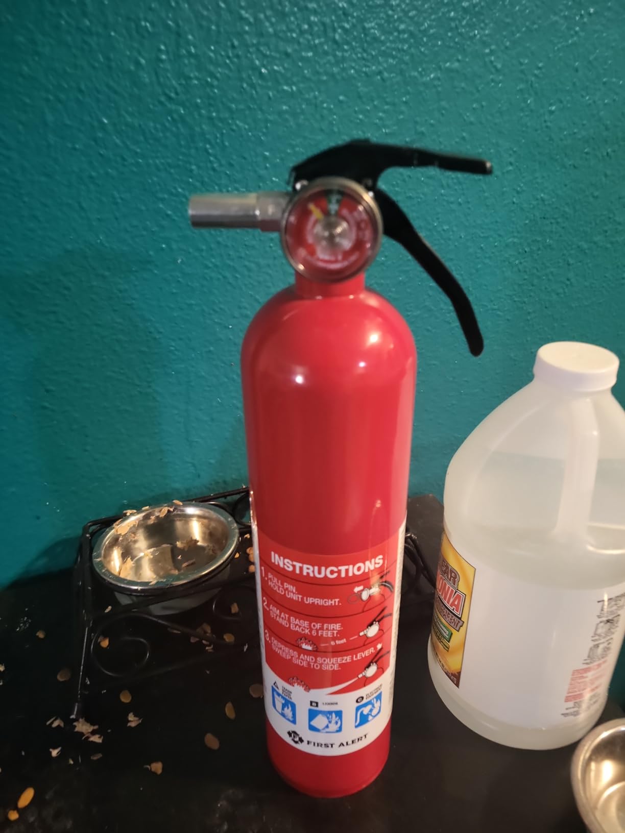 First Alert Fire Extinguisher for Home, Standard Rechargeable Compliance Unit, UL RATED 1-A:10-B:C, HOME1, Red, 1-Pack customer photo 1