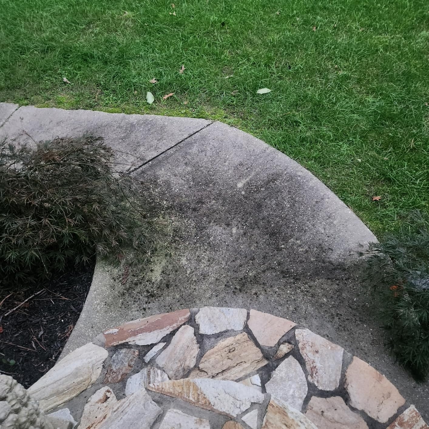 McKillans Foam Cannon for Pressure Washer (Wide Mouth) - Brass Construction customer photo 1