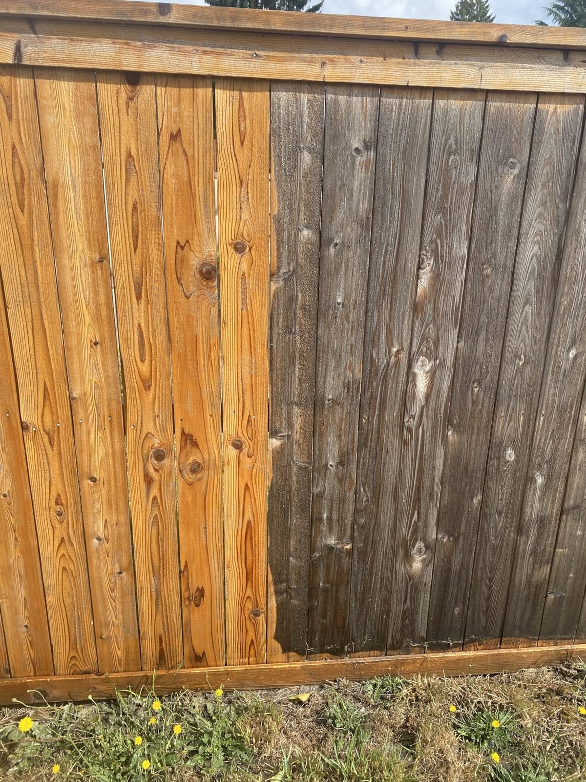 CRAFTSMAN Electric Pressure Washer, Cold Water, 1900-PSI, 1.2-GPM, Corded (CMEPW1900) customer photo 2