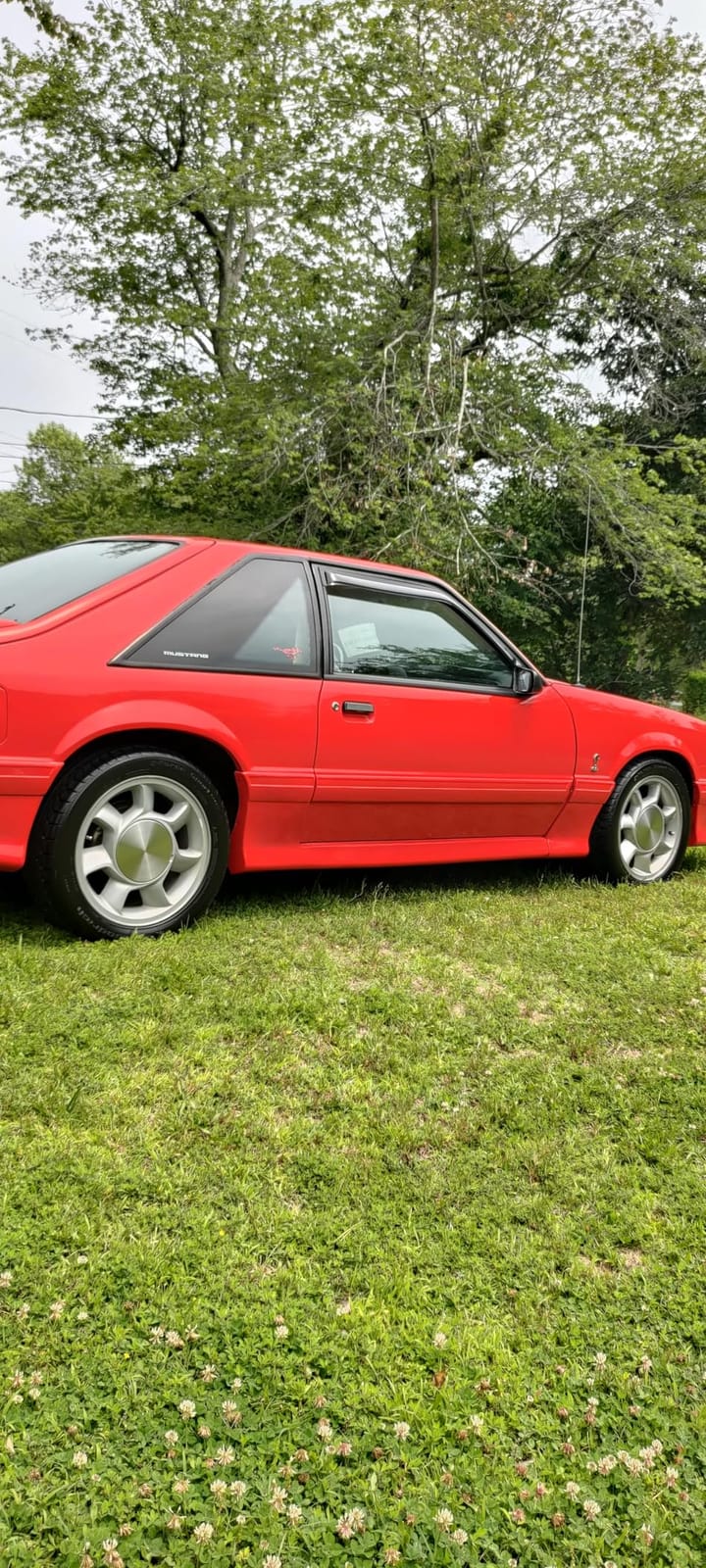 Adam's Polishes Graphene Tire Dressing - Deep Black Finish W/Graphene Non Greasy Car Detailing | Use W/Tire Applicator After Tire Cleaner & Wheel Cleaner | Ceramic Coating Like Tire Protection (16oz) customer photo 1
