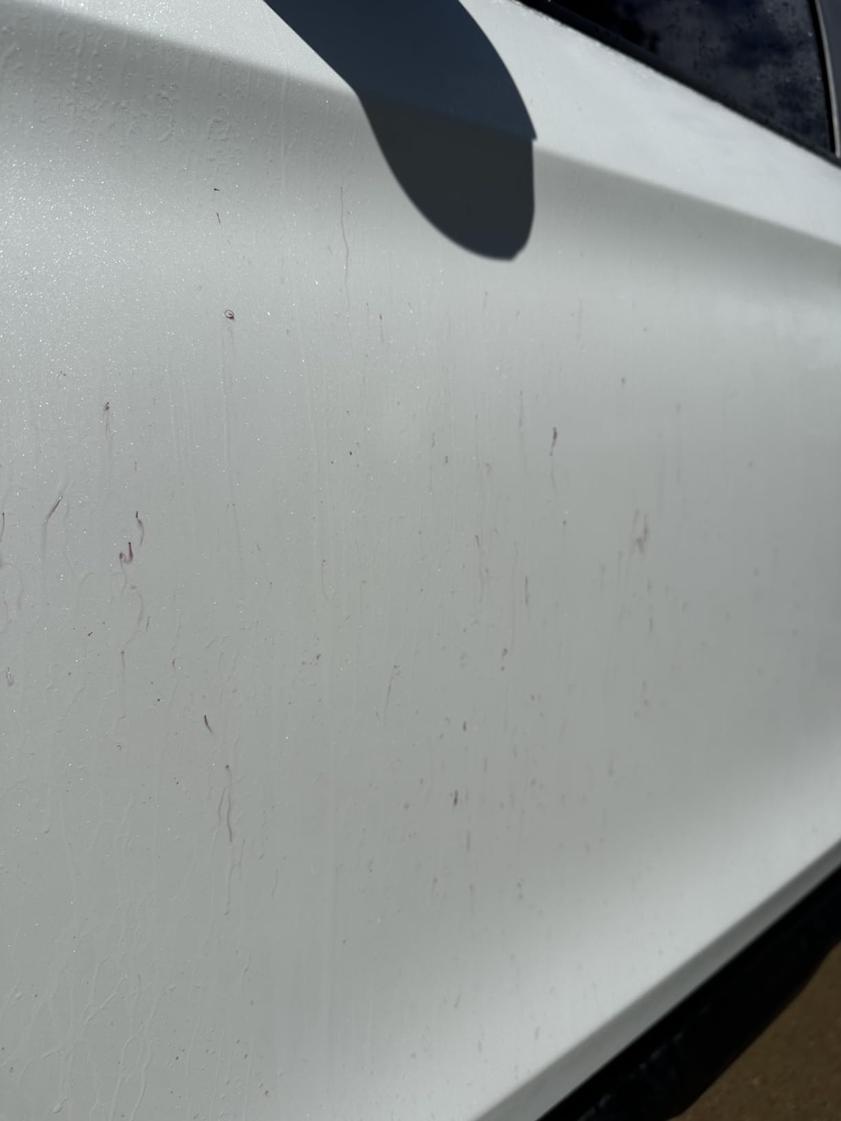 SONAX Iron + Fallout Remover | High-Performance Decon Spray for Paint, Glass and Wheels | Dissolves Embedded Contamination, Industrial Residue and Lime Scale | 750ml customer photo 2