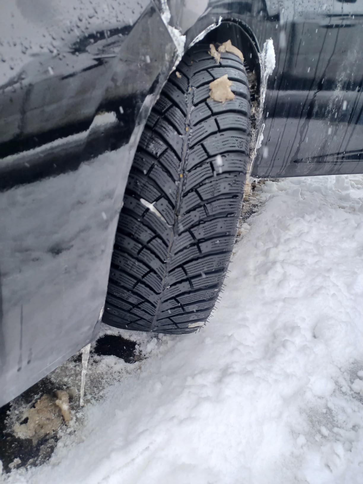 NEXEN Winguard Winspike 3 Winter Tire - 195/65R15 95T Studdable customer photo 1