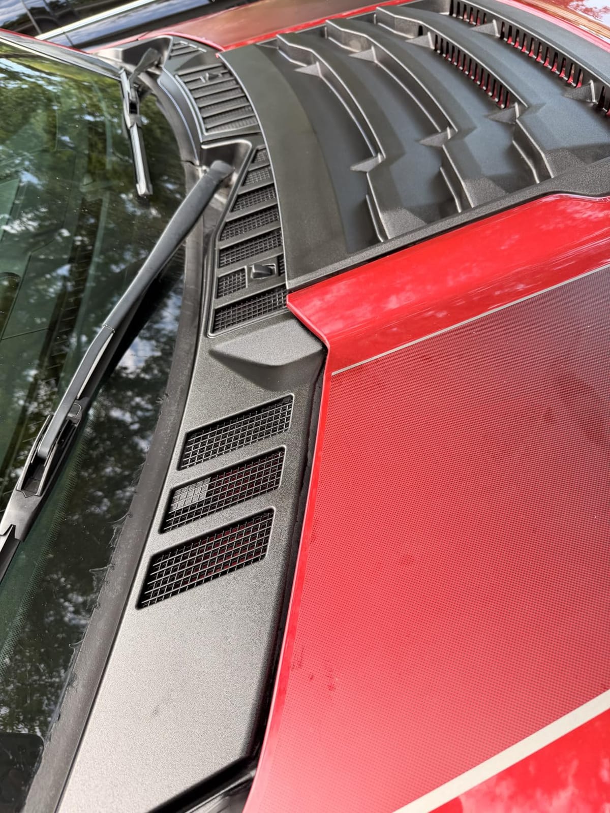 Solution Finish - Black Plastic & Vinyl Trim Restorer - Use for Car and Truck Detailing, No Wet Look, Instantly Revives Color to Trim, Bumpers, Mud Flaps, Etc., Black (2 oz) customer photo 2