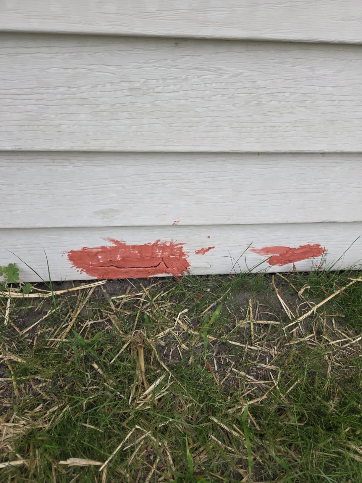 Bondo Glazing and Spot Putty, Fills Pinholes, Scratches, Minor Dings & Hairline Cracks, 4.5 oz, 1 Tube customer photo 1