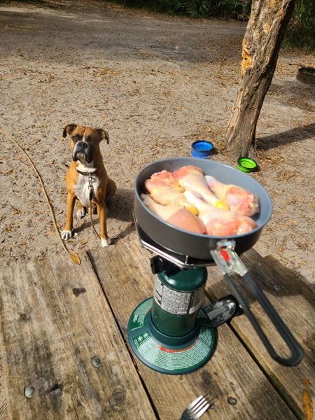 Coleman Bottletop Propane Stove, 7,650 BTU Camping Cooker customer photo 2