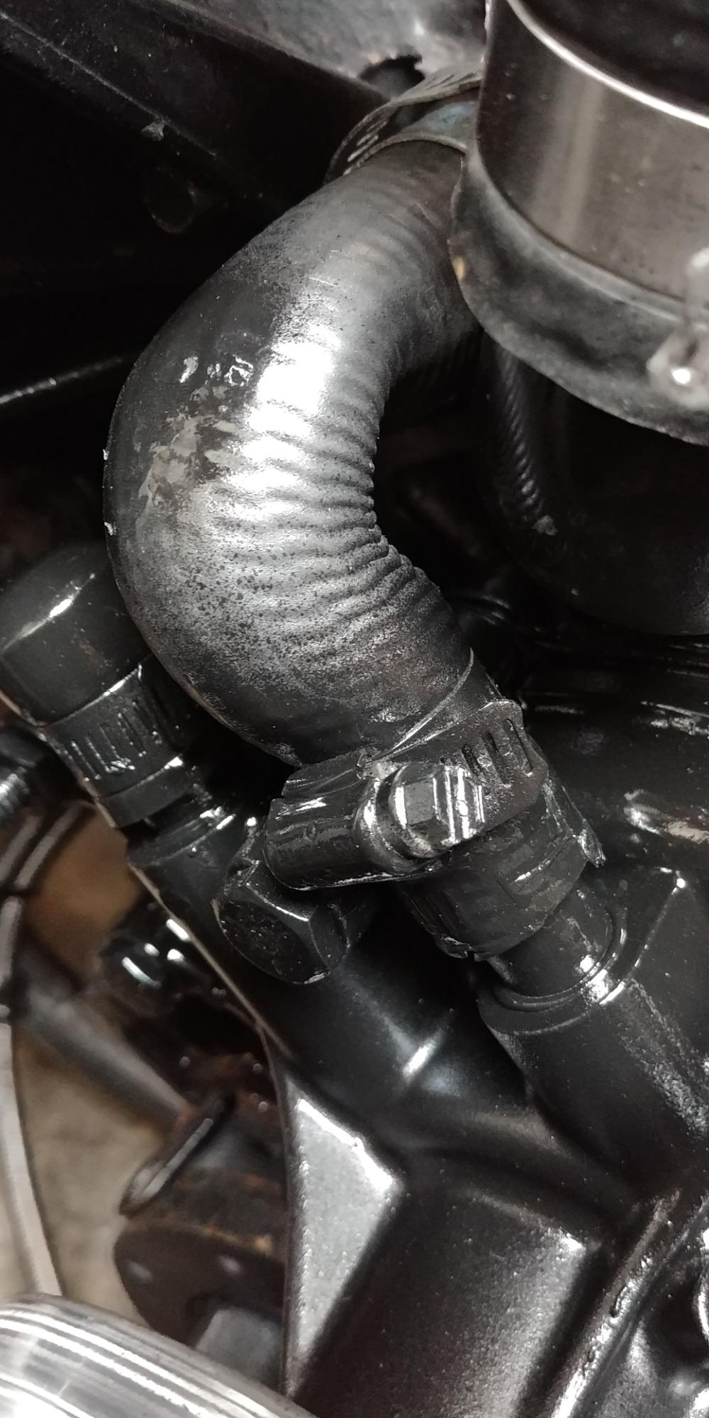 Continental 63726 Molded Heater Hose customer photo 1