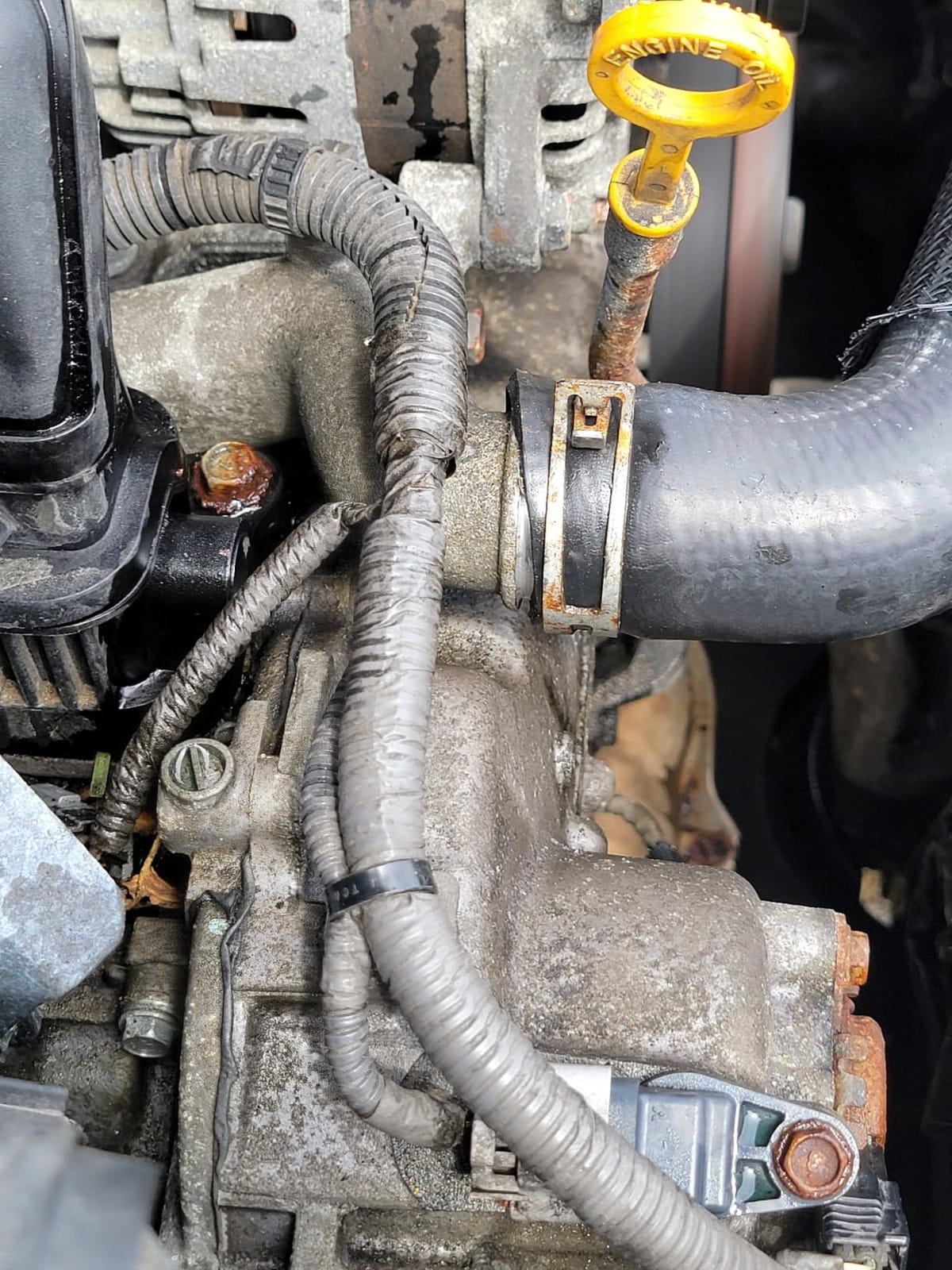 Gates 23460 Premium Molded Coolant Hose customer photo 1