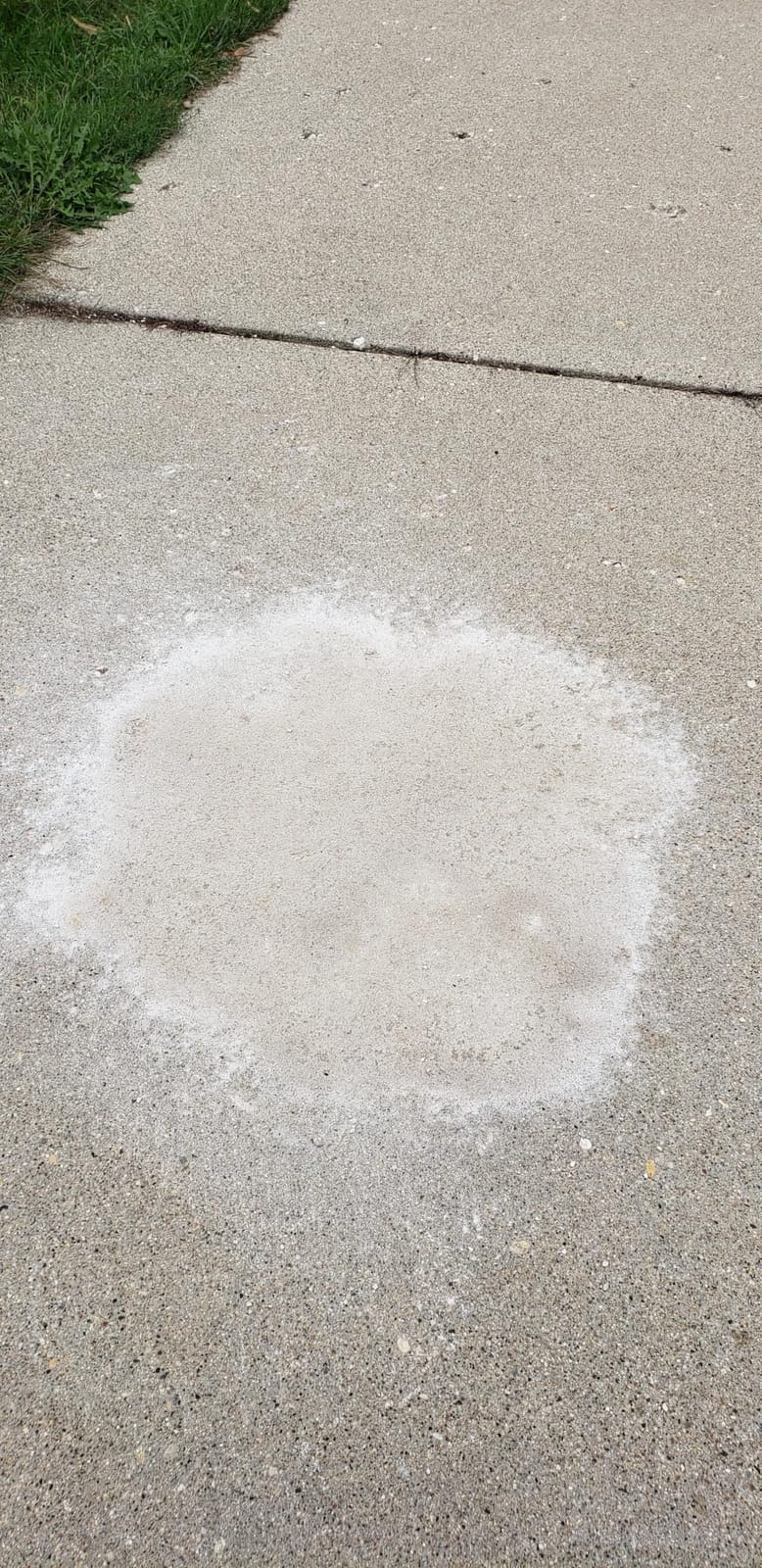 9825 All Purpose Absorbent customer photo 2