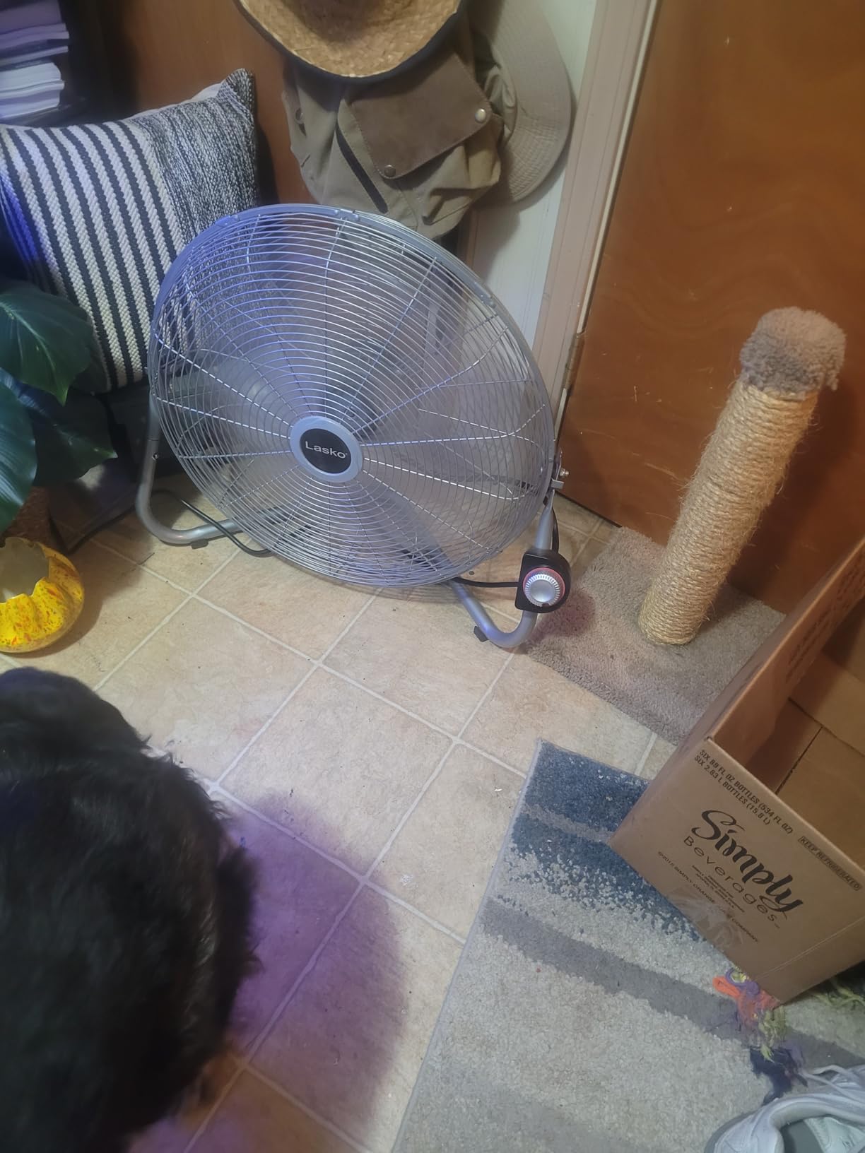 Lasko High Velocity Wall Mount and Floor Fan - 20