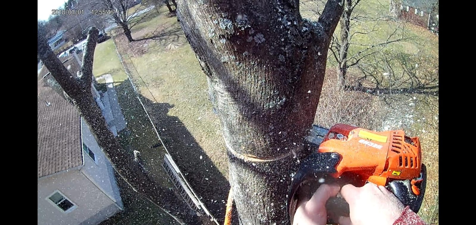 Chain Saw, Gas, 12 In. Bar, 26.9CC customer photo 1