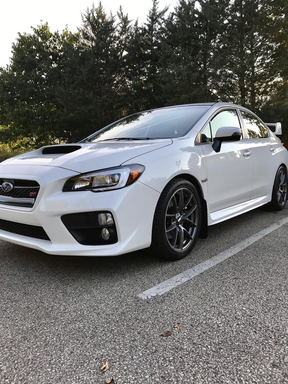 Motul Gear 300 75w90 100 Percent Synthetic Gear Oil 1 Liter (105777) customer photo 1