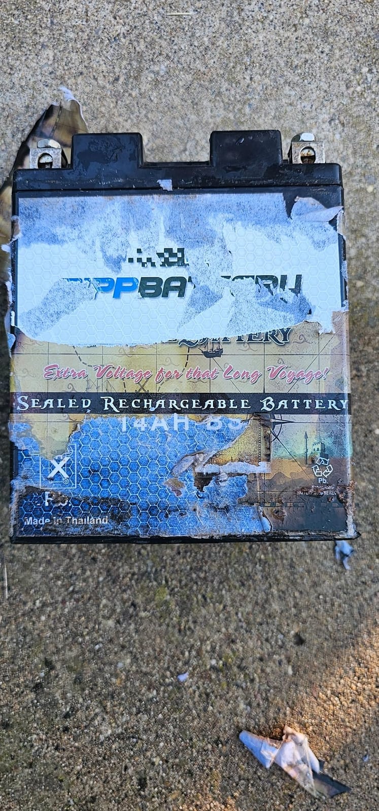 Pirate Battery YB14A-A2 12V 190 CCA Conventional – 14 Ah Battery for ATV, Motorcycle, Snowmobile, Jet Ski – T3 Nut & Bolt Terminal – Fits Polaris Sportsman 90, Kawasaki KLX110 customer photo 1