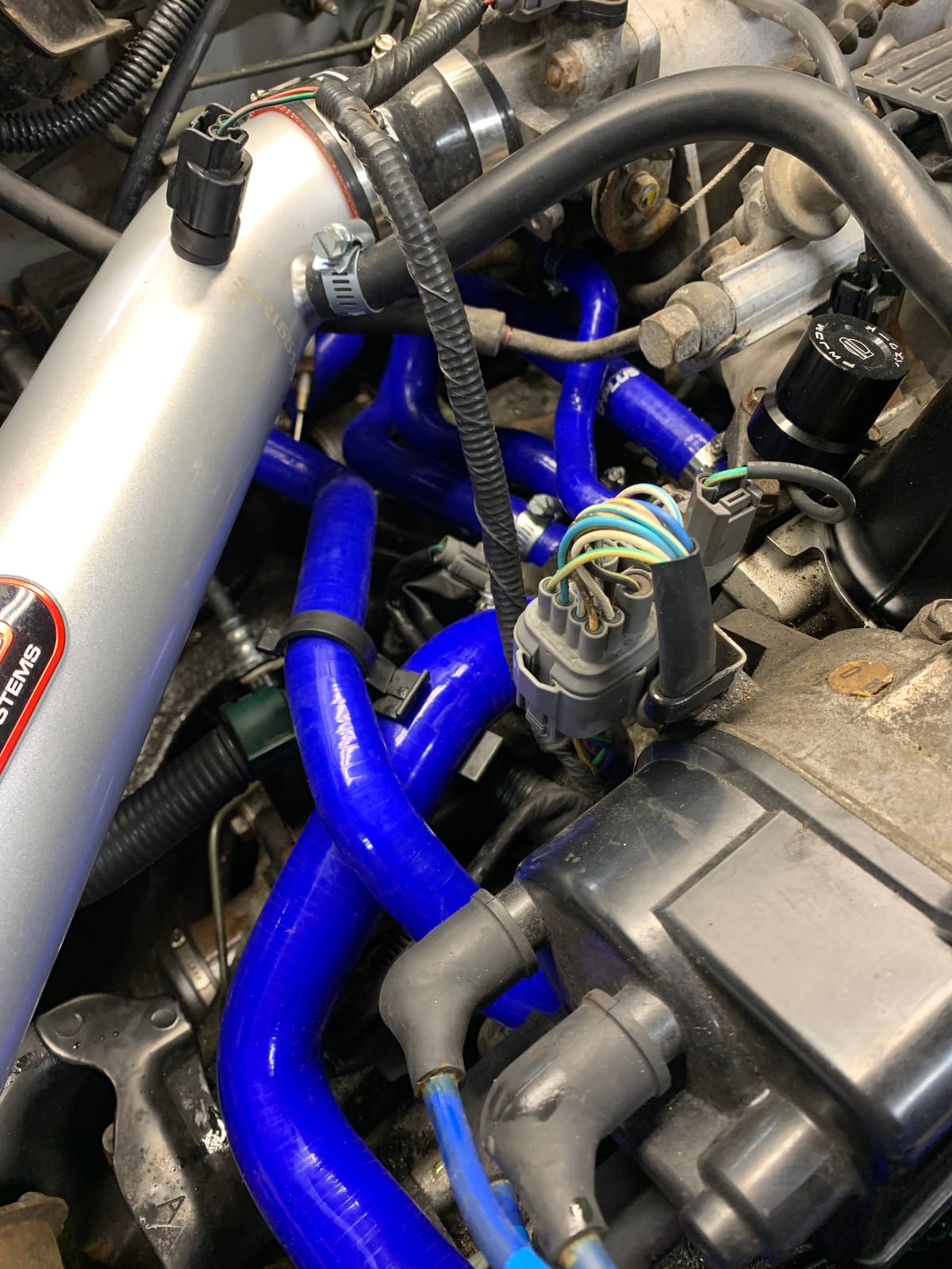 PIT66 Silicone Radiator Hose Fit 1992-2000 Civic 1.6l Sohc D15 D16 Eg/Ek customer photo 2