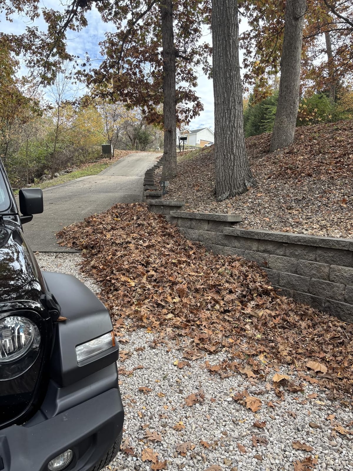 WORX 12 Amp Turbine Electric Leaf Blower for Daily Leaf Removal, WG520 | 600CFM & 110MPH Airflow, 2-Speed Control for Daily Yard Debris Clearing, Corded customer photo 2