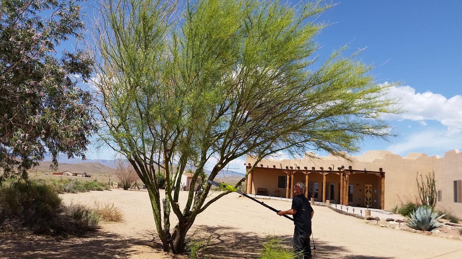 Sun Joe Corded Electric Telescoping Pole Saw, Pruning Power Tool with 10 Inch Bar, 8 Amp Power with 14 Foot Reach for Ground-Level Tree Trimming. customer photo 1