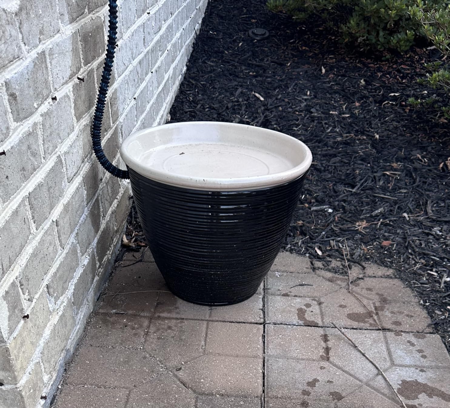 J&B XpandaHose 75ft Expandable Garden Hose, Lightweight, Brass Connectors customer photo 1