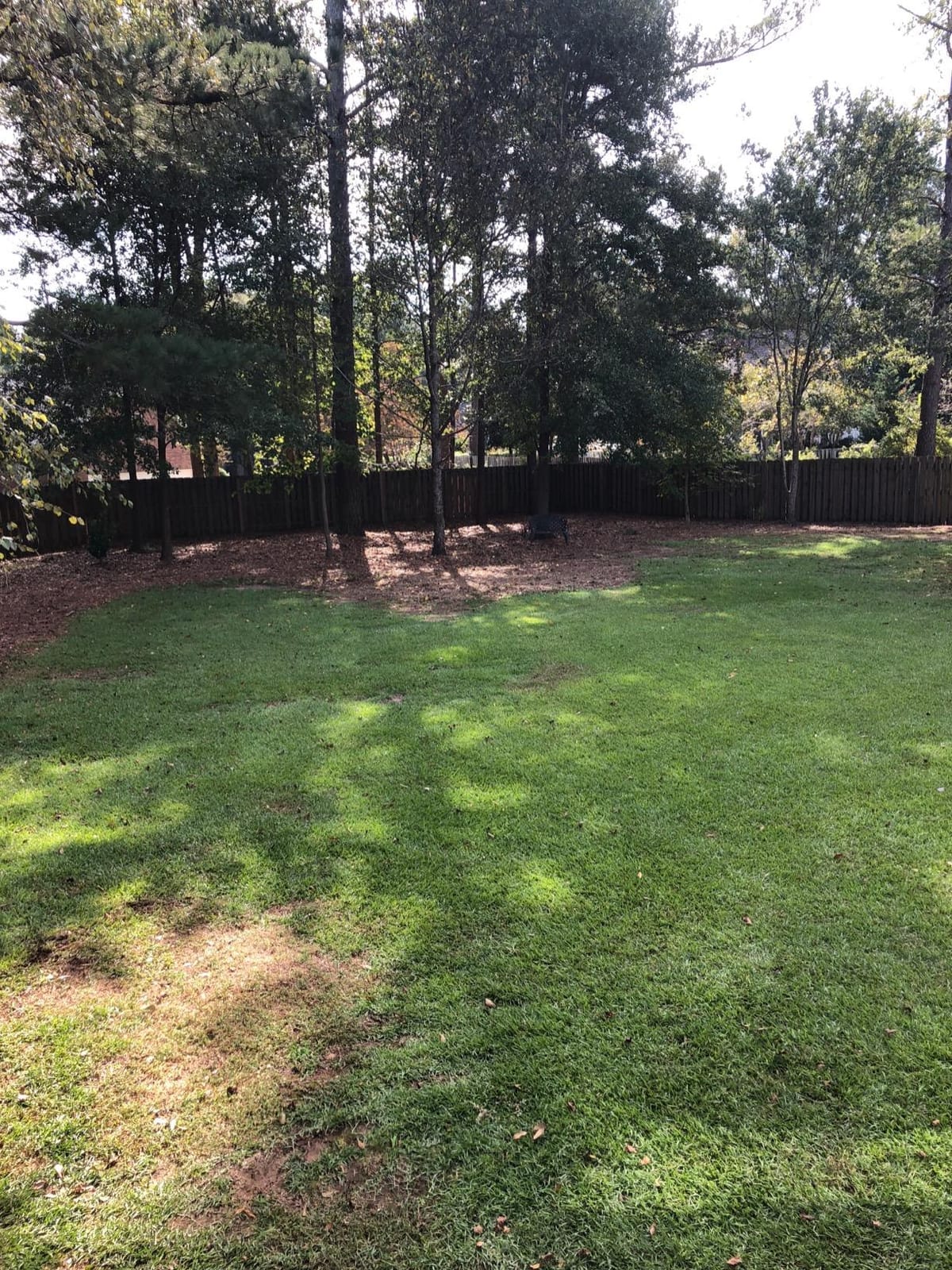 Liquid Soil Loosener- Soil Conditioner-Use alone or when Aerating with Mechanical Aerator or Core Aeration- Simple Lawn Solutions- Any Grass Type-Great for Compact Soils, Standing water, Poor Drainage customer photo 2