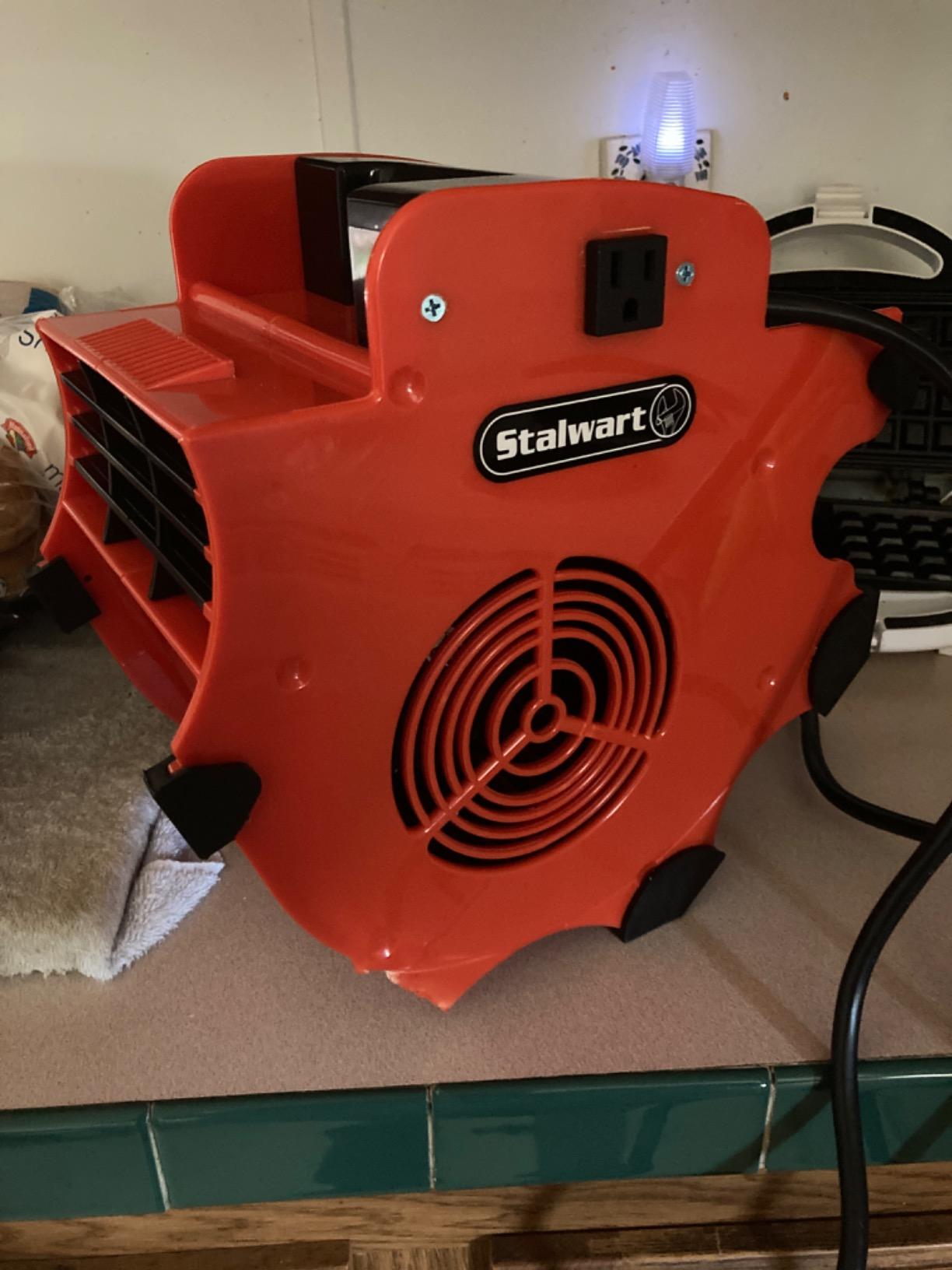 Blower Fan - 3-Speed Heavy-Duty Floor and Carpet Dryer - 1600 watts -Portable Air Mover with 4 Different Angles for Basements, Cars or Garages by Stalwart (Red) customer photo 1