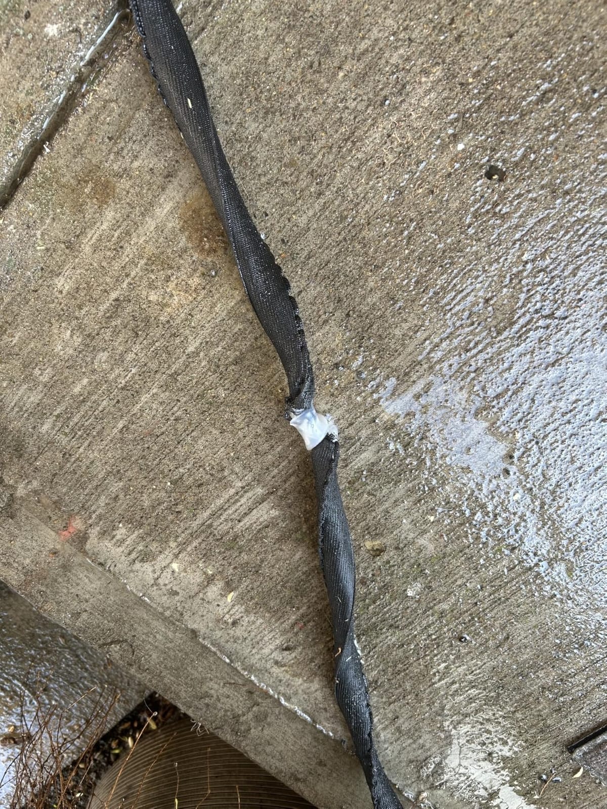 Stanley DuraflexPro Expanding Garden Hose, 50 Feet customer photo 2