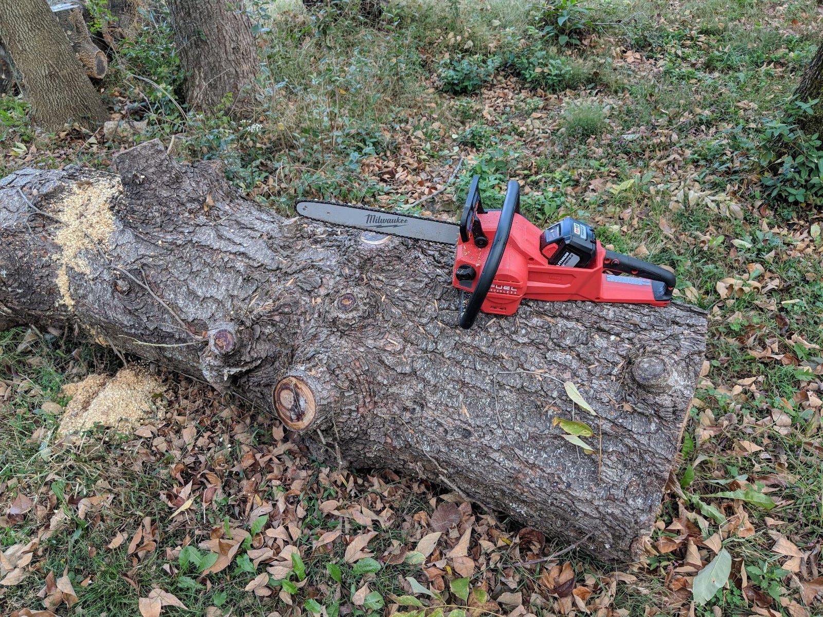 Milwaukee Electric Tools 2727-21HD Chainsaw Kit customer photo 1