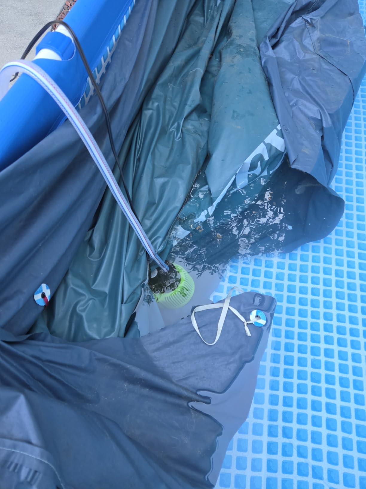 AgiiMan 850GPH Pool Cover Pump, Submersible Sump Pump above Ground customer photo 2