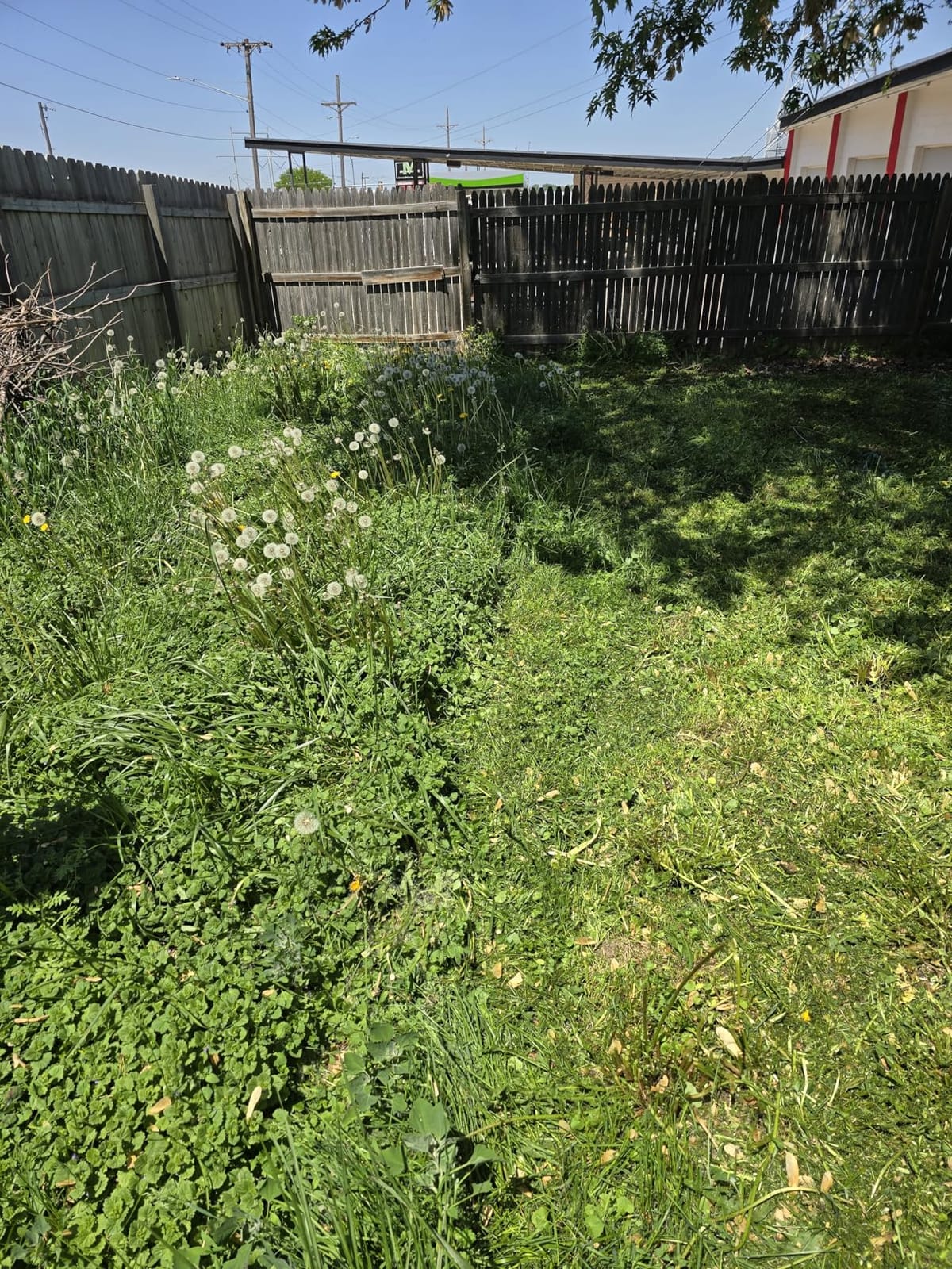 Greenworks 48V (24V x 2) 21in Self-Propelled Lawn Mower, Battery Kit customer photo 2