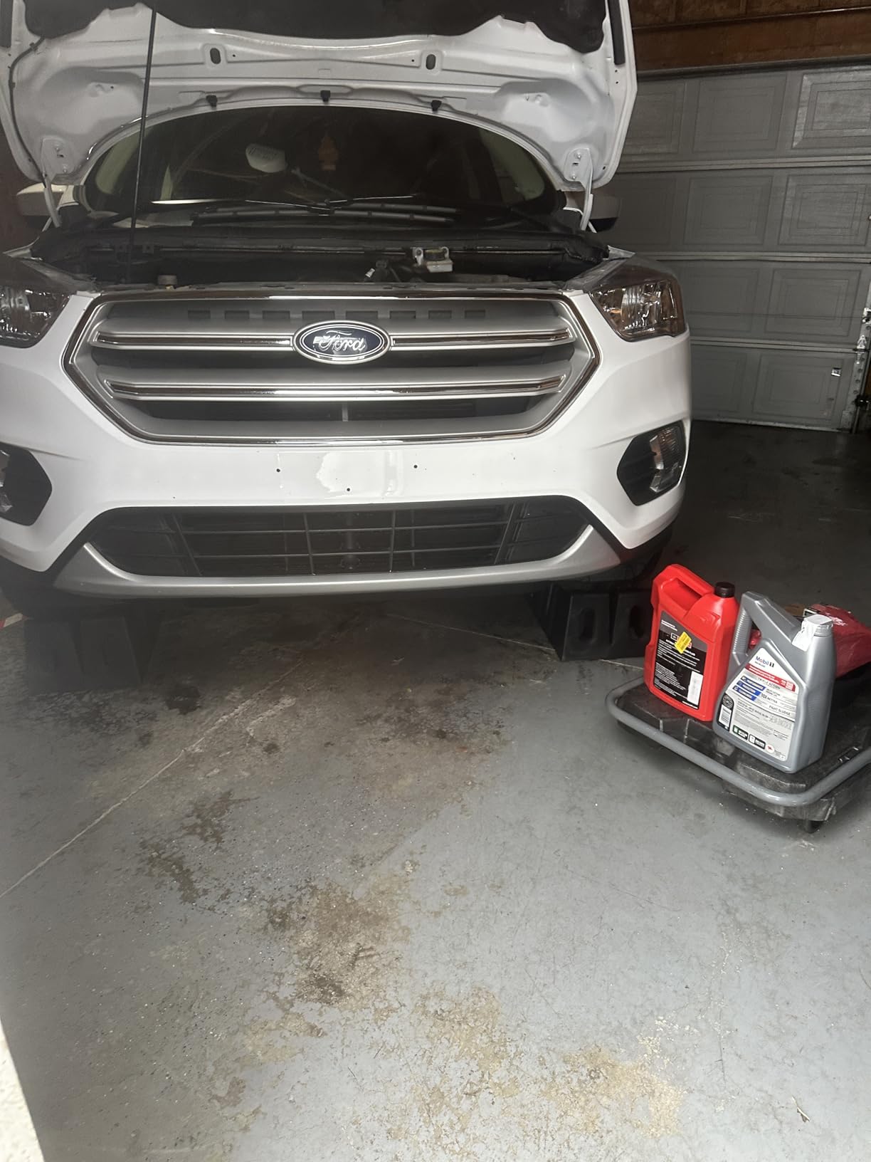 Motorcraft - Fluid - Transmission (XT105Q3LV) customer photo 1