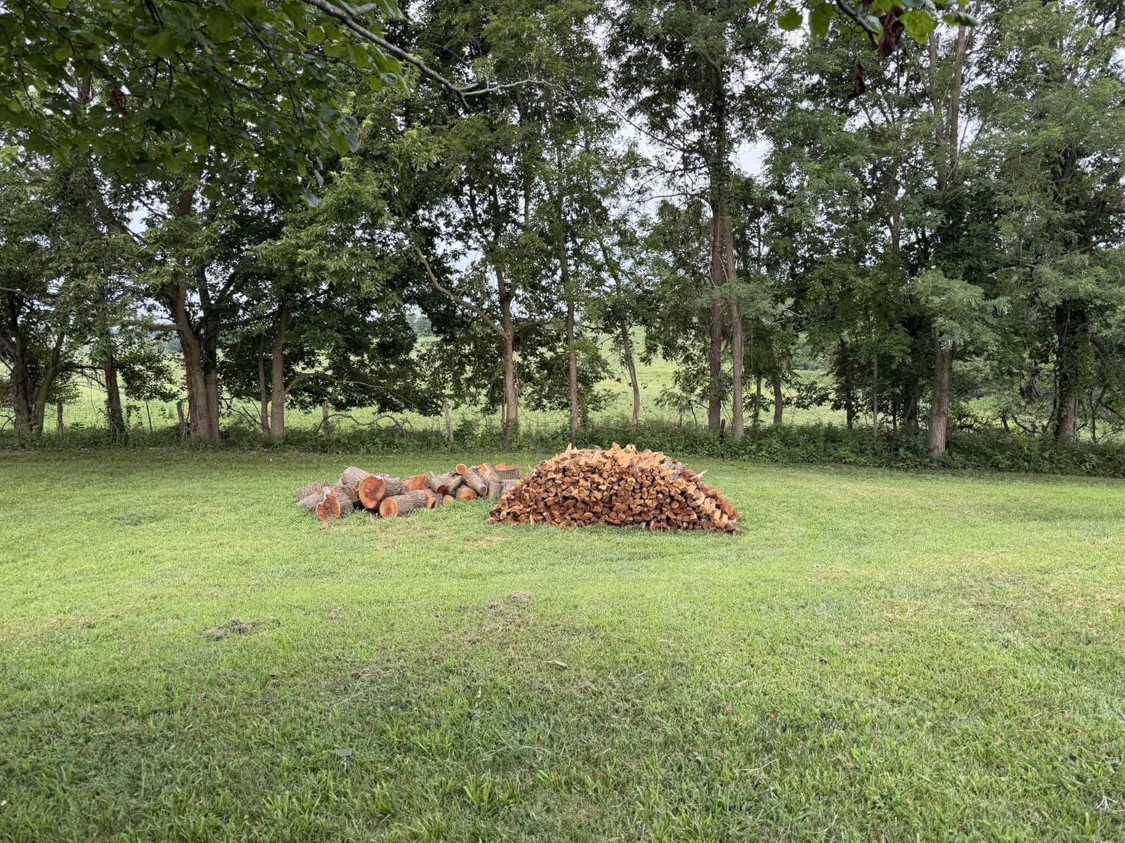 SuperHandy Log Splitter Portable 20 Ton Rapid Auto Return Ram System Bucher Gear Pump 7HP Engine Horizontal Full Beam Steel Wedge Firewood Splitting Forestry Harvesting customer photo 2