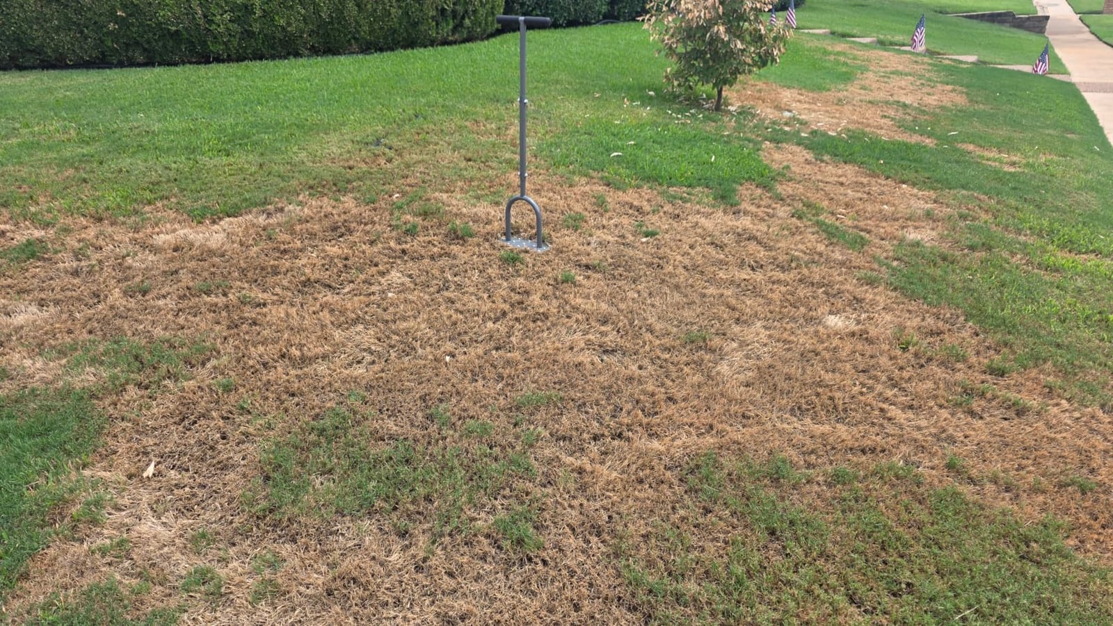 Walensee Aerator Lawn Tool, 15-Spike Manual Lawn Aerator Tool for Yard customer photo 2