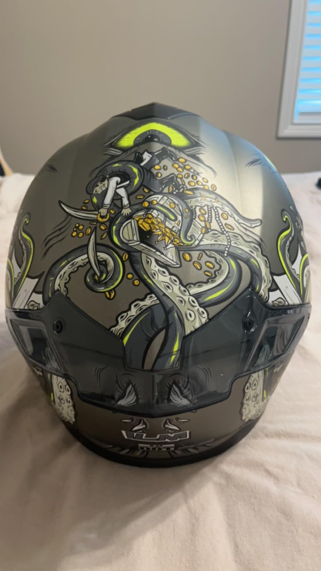 ILM Carbon Fiber Motorcycle Helmets Lightweight Full Face Dual Visor Helmet with Rear Wing Pinlock Compatible Motorbike Street Bike DOT ECE Men Women Model 861C (CarbonFiber3K, L) customer photo 2