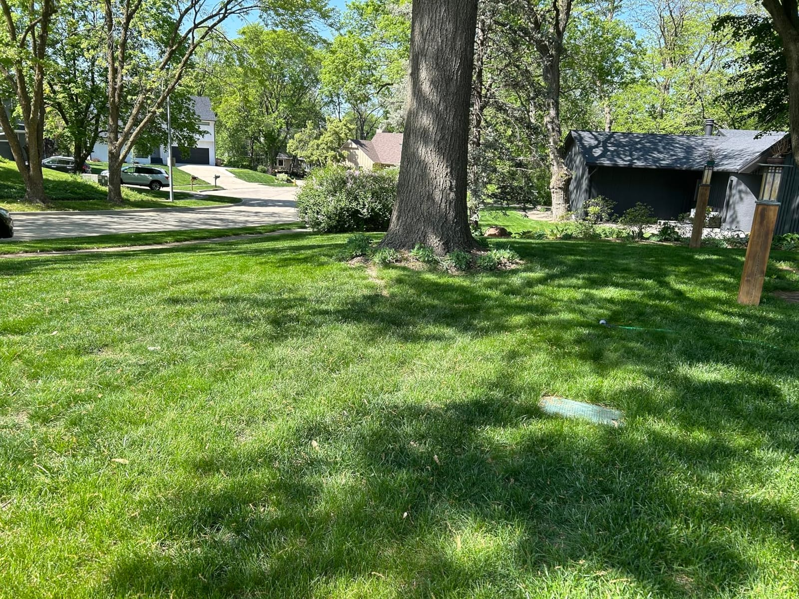 EGO POWER+ 21