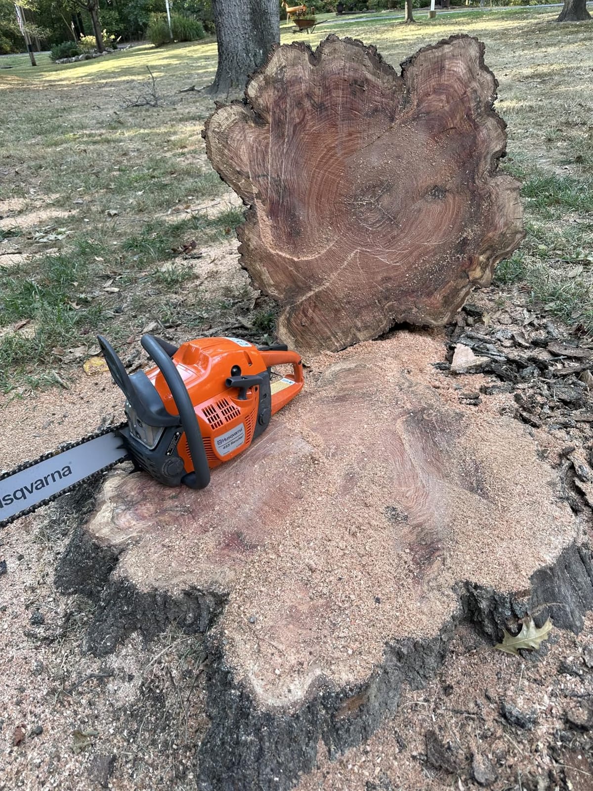 Husqvarna 455 Rancher Gas Chainsaw, 20 inch, 55-cc 3.5-HP customer photo 2