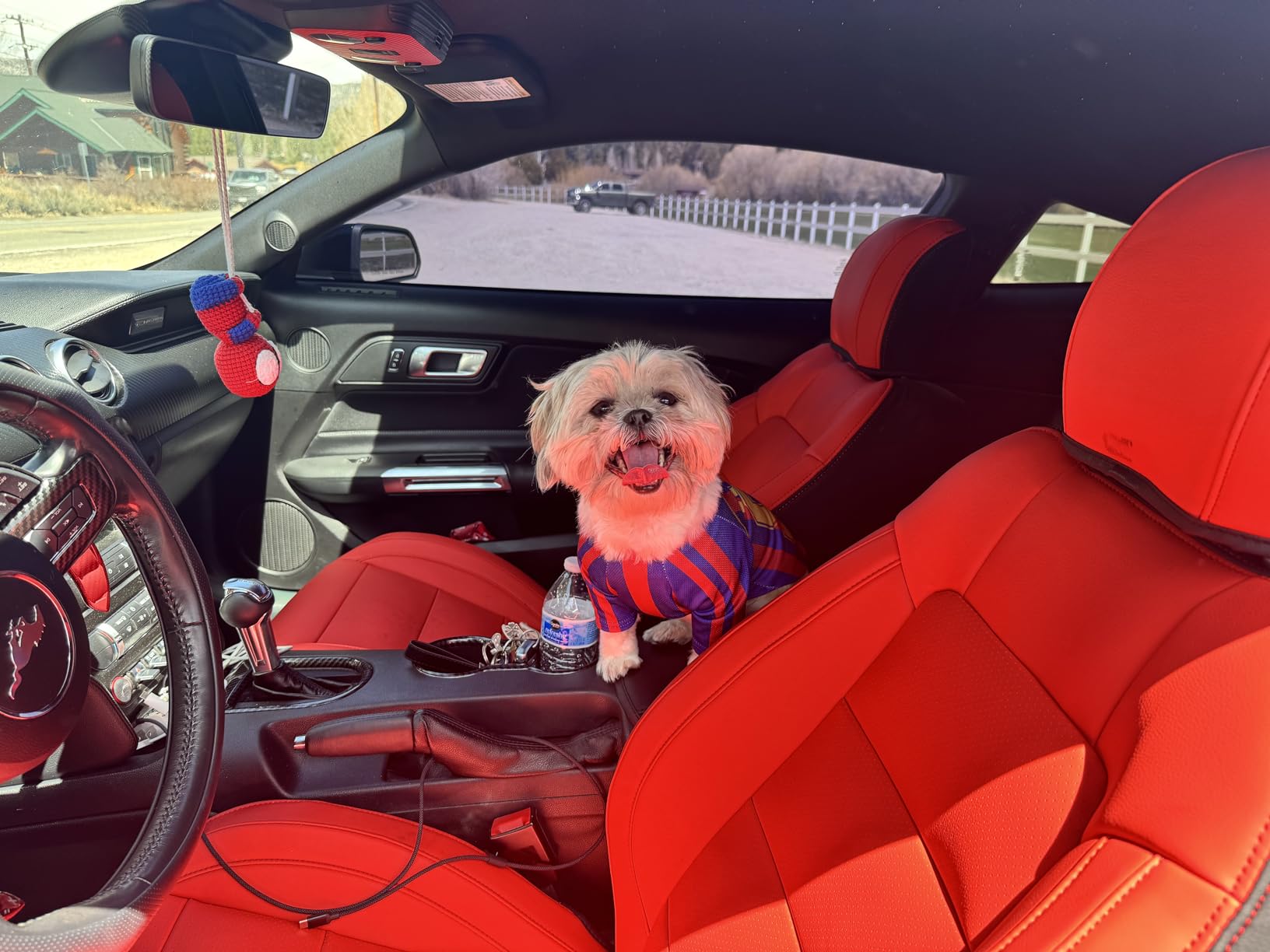 GIANT PANDA Customized Full Set Car Seat Covers Fit Ford Mustang Coupe Hardtop 2015 2016 2017 2018 2019 2020 2021 2022 2023 2024 2025 2026- (Red) customer photo 1