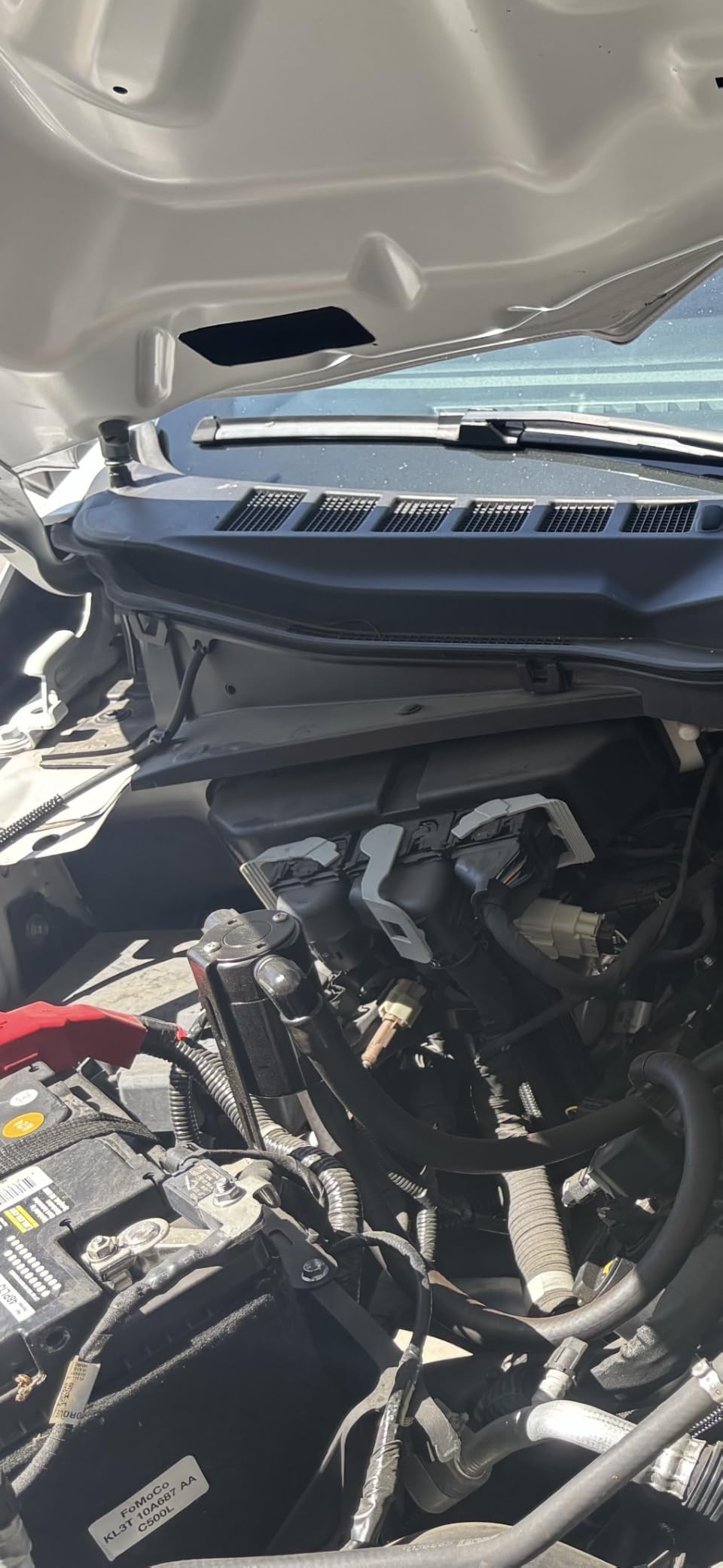 EVIL ENERGY Oil Catch Can, Air Oil Separator Compatible with 2011-2025 F150 5.0L 2017-2023 Raptor 2018-2021 Expedition 3OZ customer photo 2