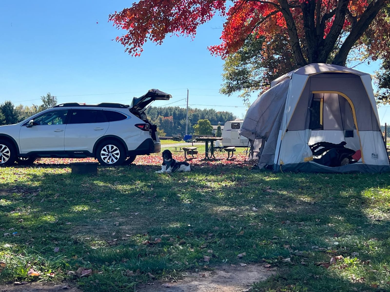 Timber Ridge Truck-Bed-Tents SUV Camping Tent customer photo 2