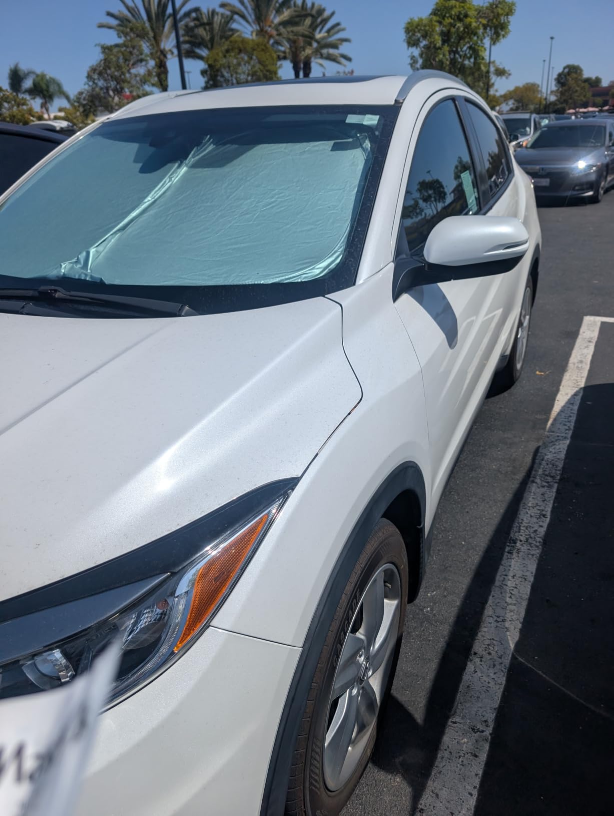 Proadsy Custom Fit Car Windshield Sun Shade for 2021-2026 Hyundai Elantra customer photo 1