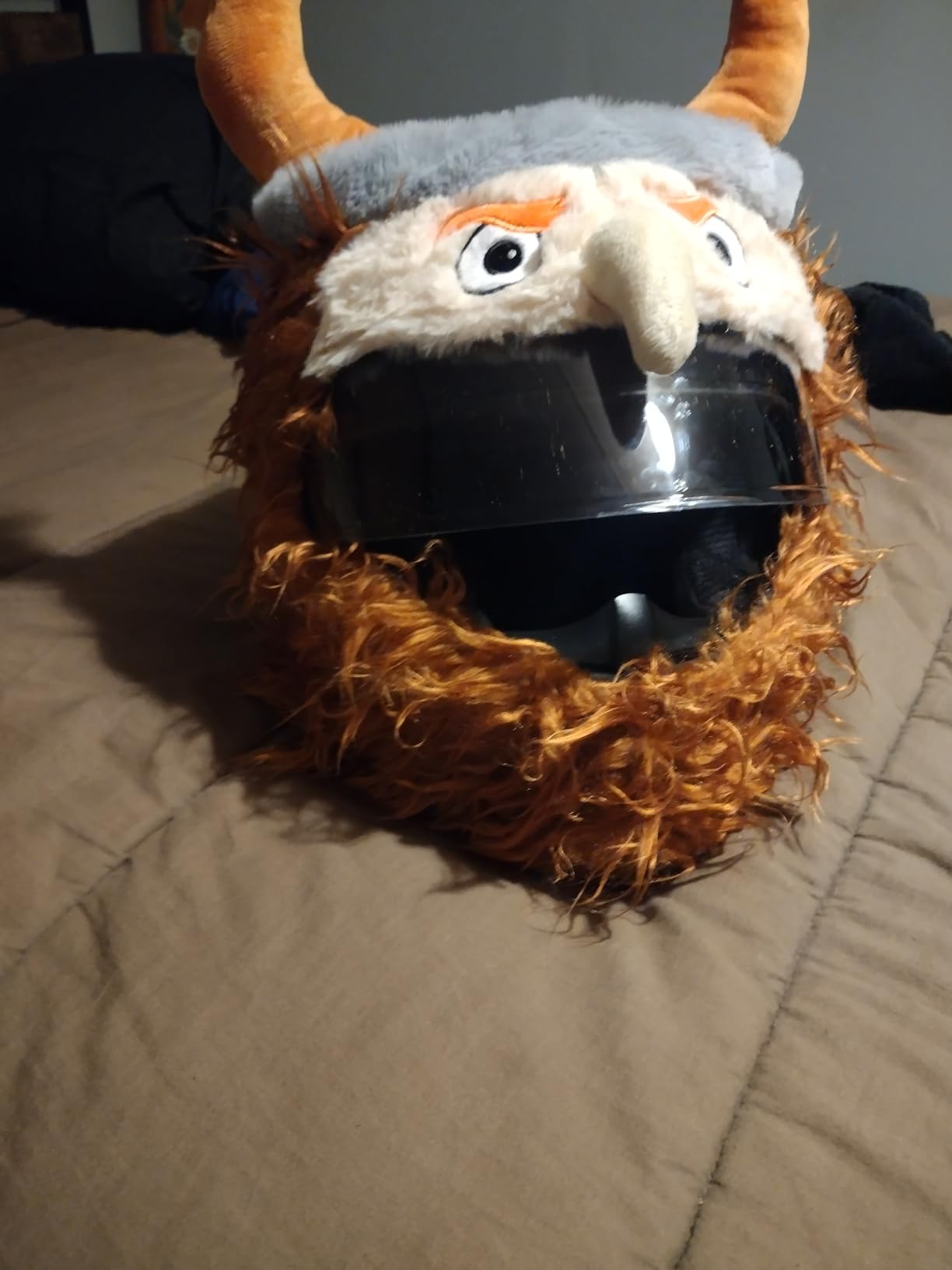 Full Face Motorcycle Helmet WS-607 DOT Approved for Adults customer photo 1