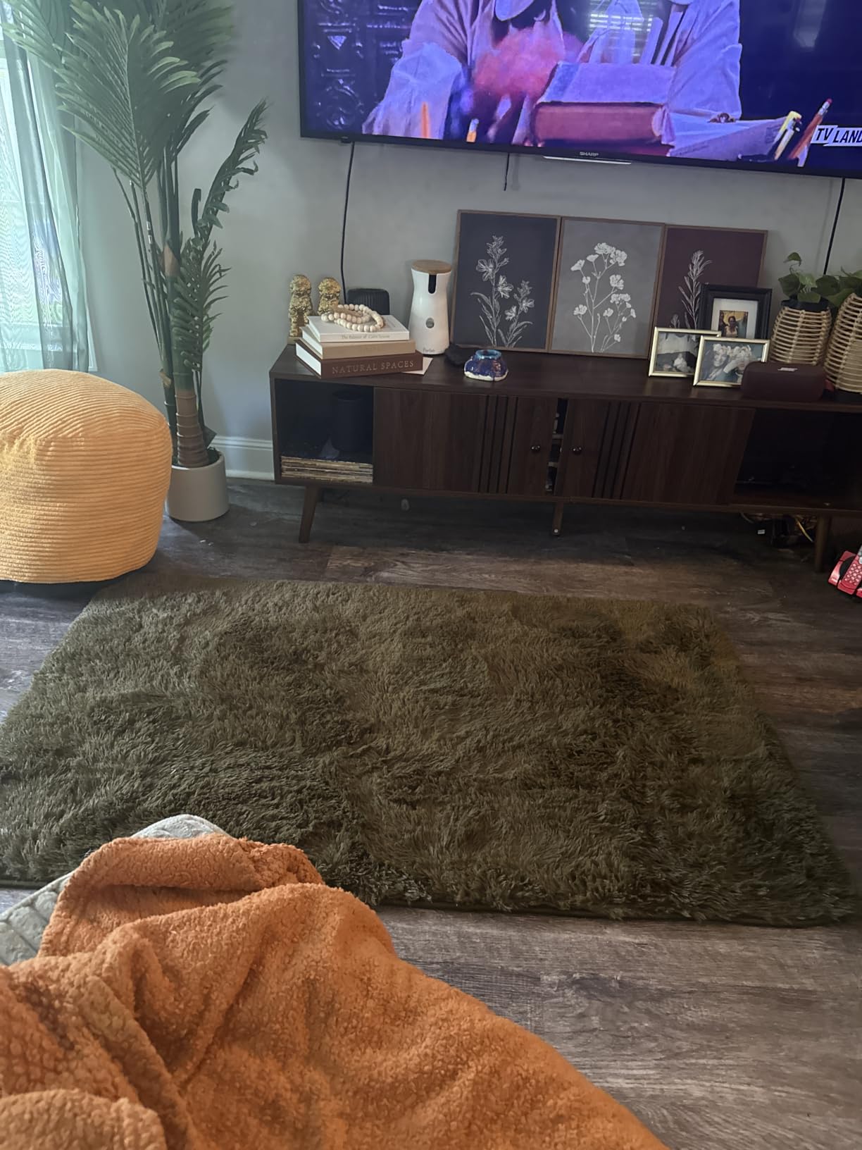 OLANLY Area Rugs for Living Room Bedroom, Machine Washable 4x5.9 ft Soft Fluffy Shaggy Bedside Rug, Indoor Floor Carpet for Kids Girls and Boys, Dorms, Nursery Rooms, Home Decor Aesthetic, Grey customer photo 1