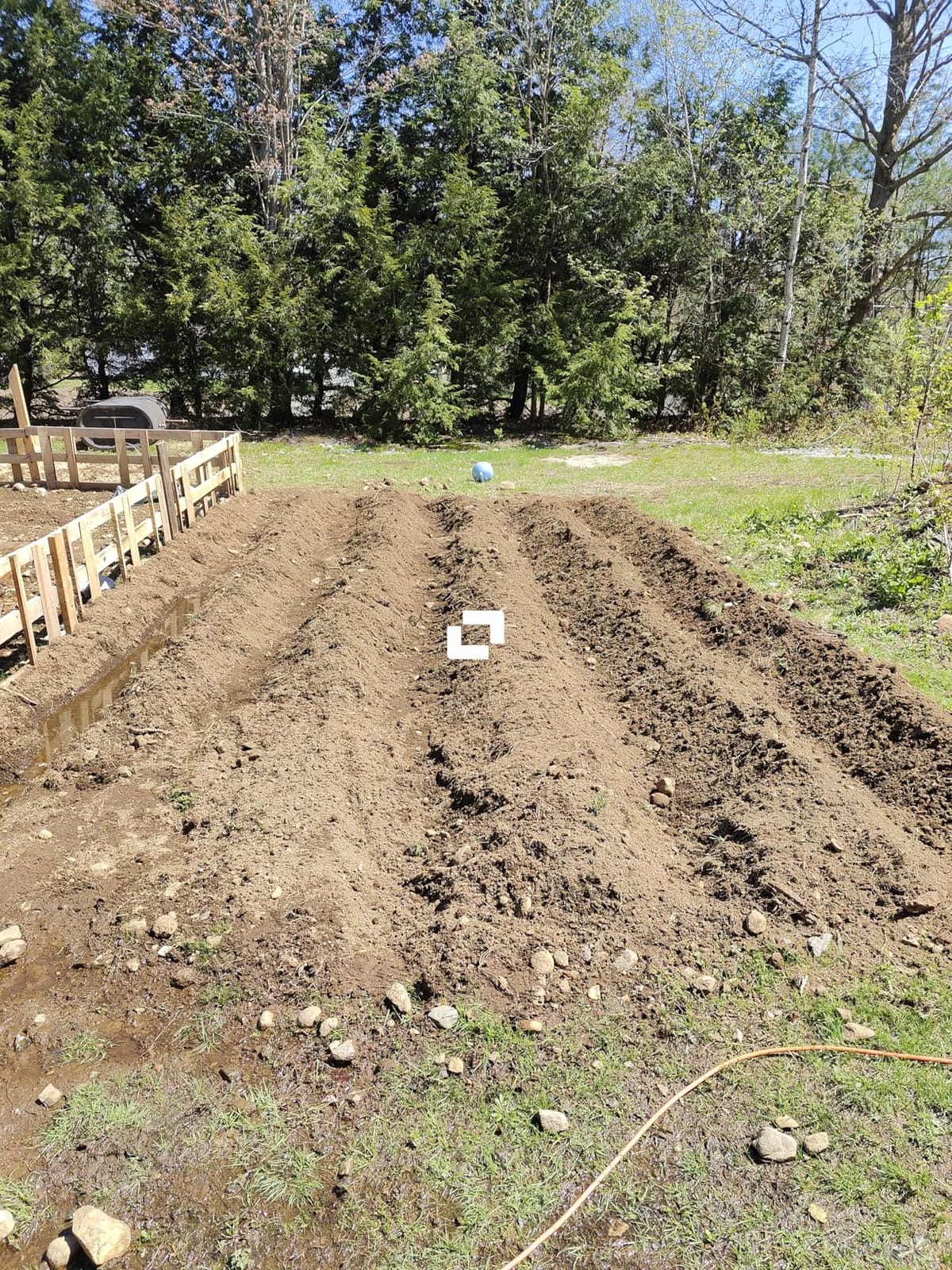 BILT HARD 18 Inch Electric Tiller Cultivator, Corded 15 Amp 6 Steel Tines Tillers for Gardening, Garden Rototiller for Soil Digging with Adjustable Wheels customer photo 1