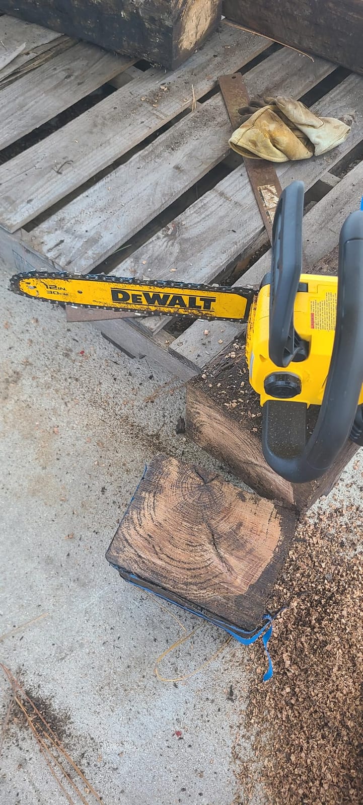 20V MAX 12 in. Cordless Battery Powered Chainsaw (Tool Only) customer photo 1