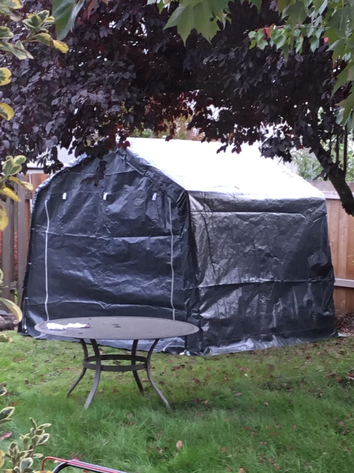 Quictent 8x10FT Carport Shelter Storage Shed with Roll-Up Door&Vents customer photo 2