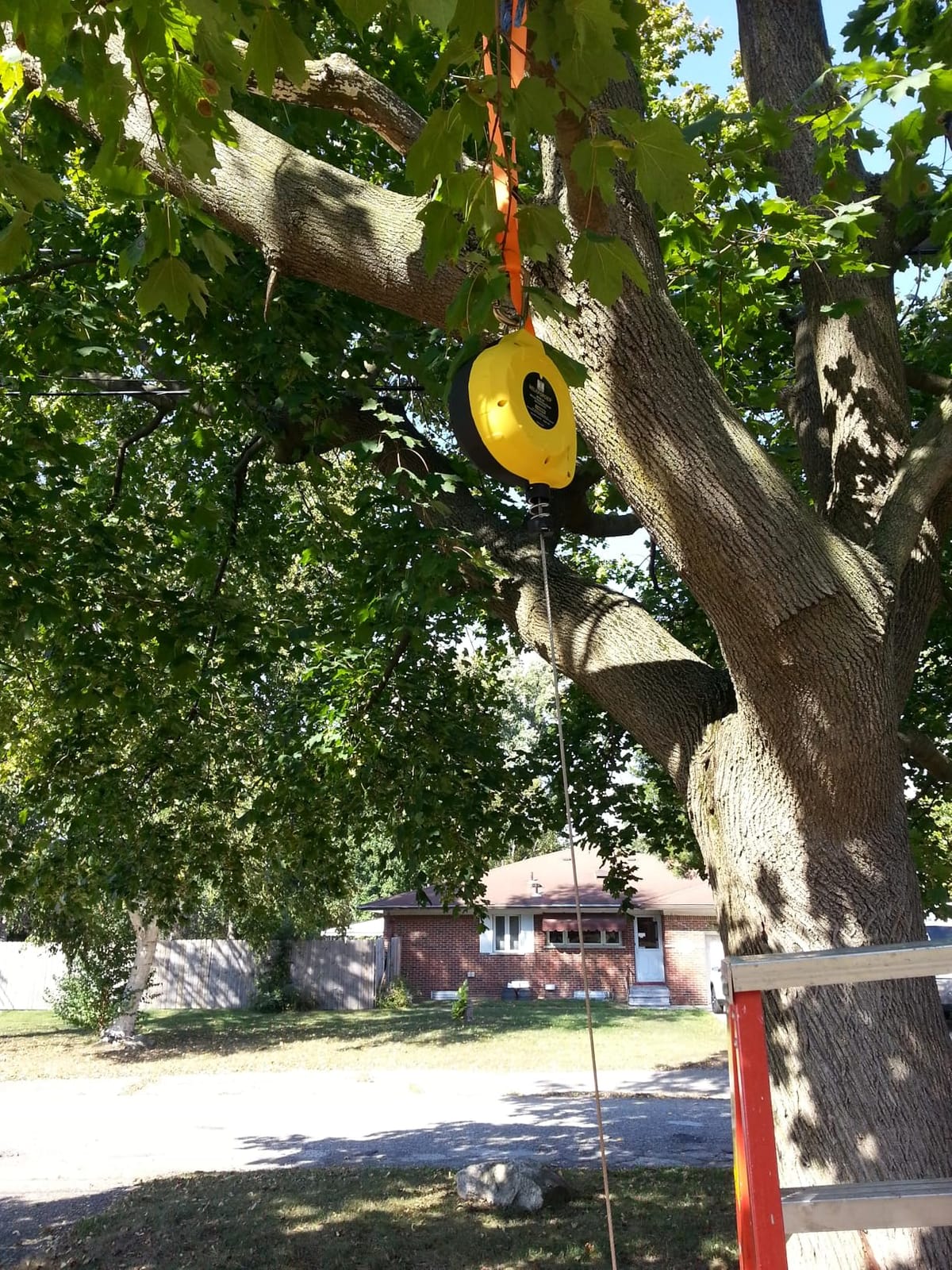 Single Leg Self-Retracting Lifeline [Steel Cable] Internal Shock Absorber System Class 1 Retractable Lanyard with Quick-Action Brake ANSI&OSHA Compliant (30FT) customer photo 2