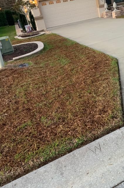 TIECTOWN 2026 Upgrade 16-Inch 15.5A Electric Dethatcher & Scarifier, Green customer photo 2
