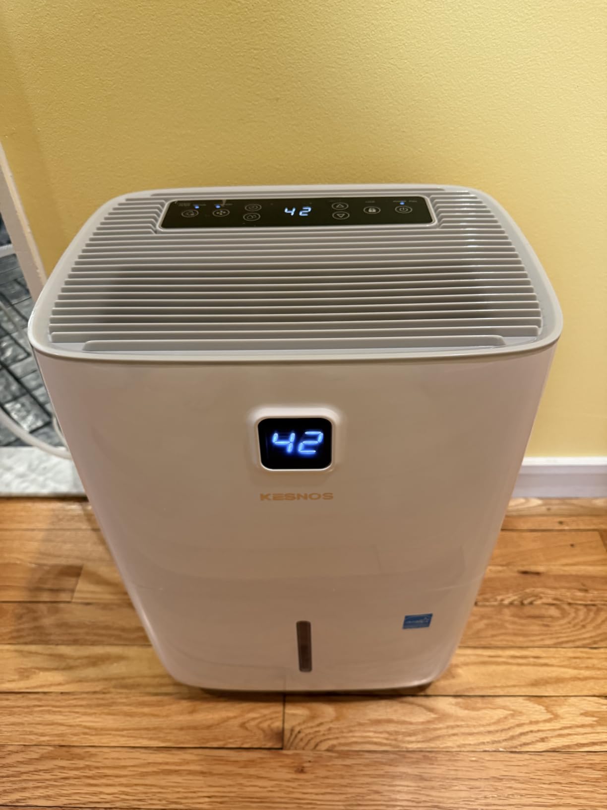 Kesnos 2,500 Sq. Ft. Energy Star Dehumidifier for Basement with Drain Hose customer photo 2